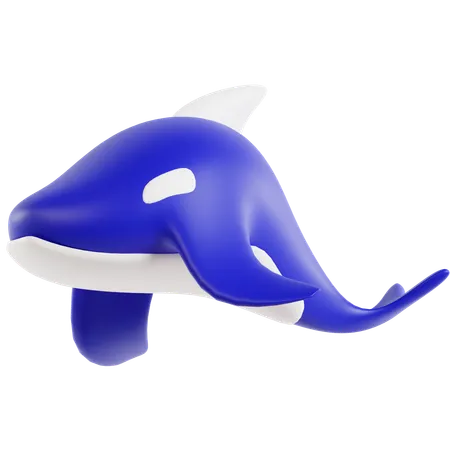 Orca whale  3D Icon