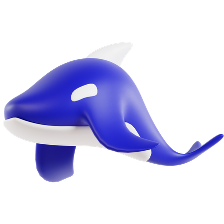 Orca whale  3D Icon