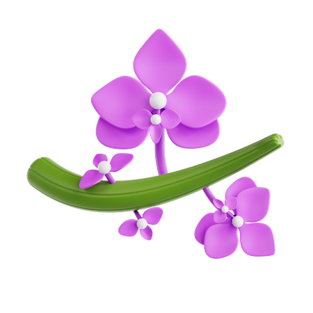 Orchid  3D Icon