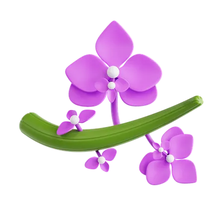 Orchid  3D Icon