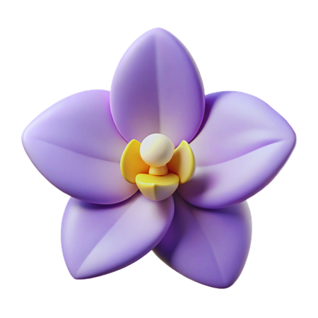 Orchid  3D Icon