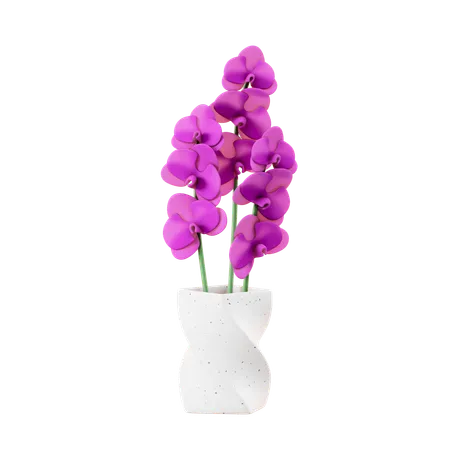 Orchid  3D Icon