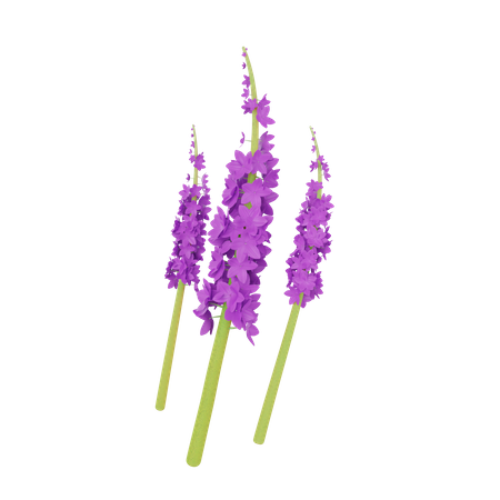Orchid 3D Illustration