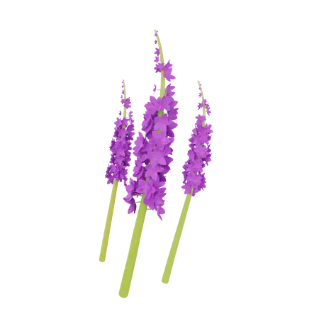 Orchid 3D Illustration