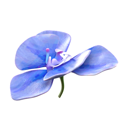 Orchid Flower  3D Icon