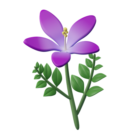 Orchid Flower  3D Icon