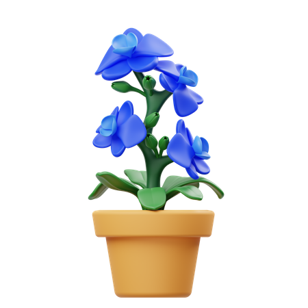 Orchid Flower Pot  3D Icon