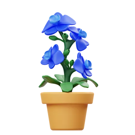 Orchid Flower Pot  3D Icon