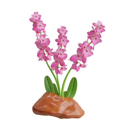 Orchid Plant  3D Icon