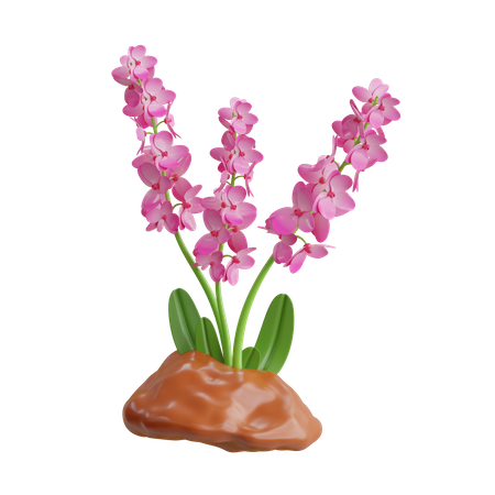 Orchid Plant  3D Icon