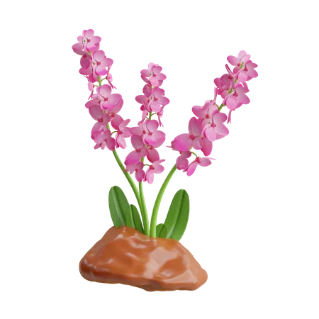 Orchid Plant  3D Icon