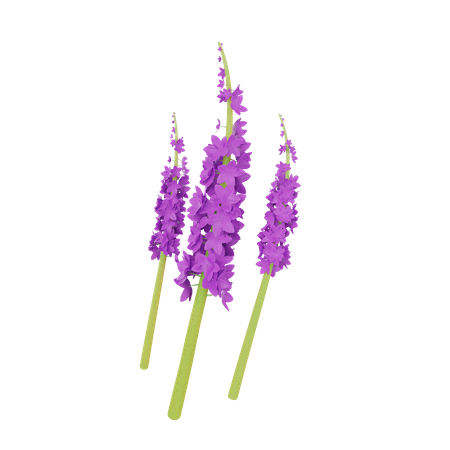 Orchidee  3D Illustration