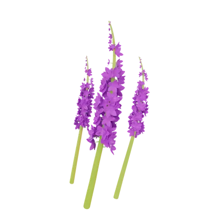 Orchidee  3D Illustration