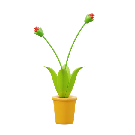 Orcid Red  3D Icon