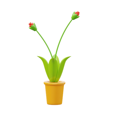 Orcidé rouge  3D Icon