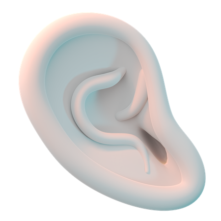 Oreille  3D Icon