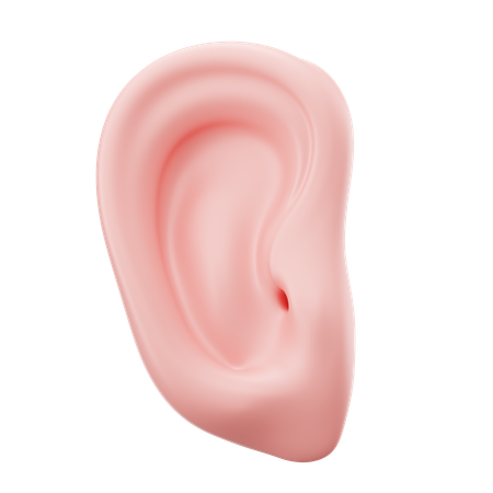 Oreille  3D Icon