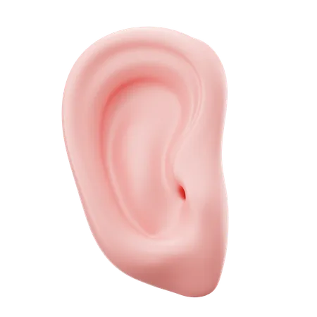 Oreille  3D Icon