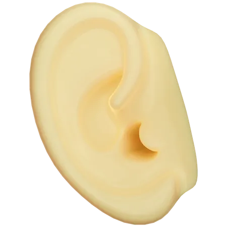 Oreille  3D Icon