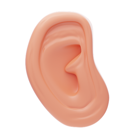 Oreja  3D Icon