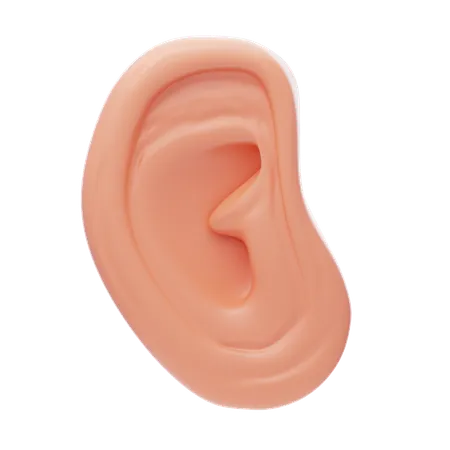 Oreja  3D Icon