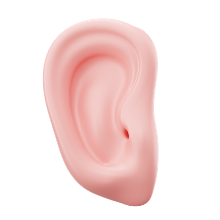 Oreja  3D Icon