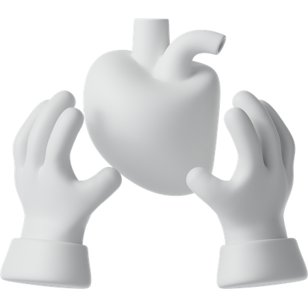 Organ Donation  3D Icon