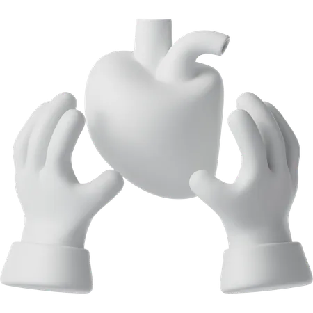 Organ Donation  3D Icon