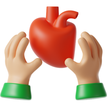 Organ Donation  3D Icon