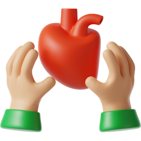Organ Donation  3D Icon