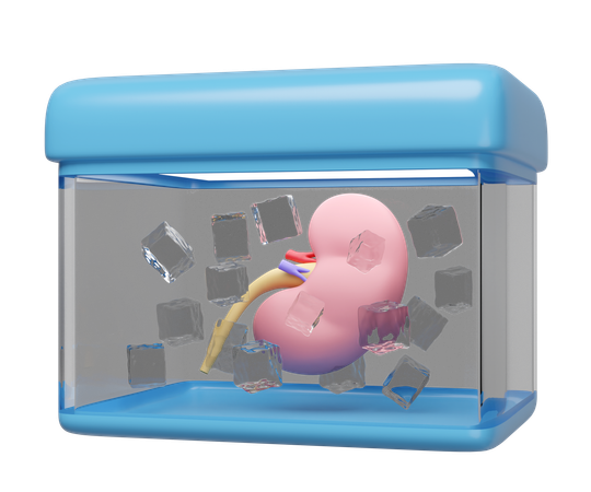Organ Transport  3D Icon