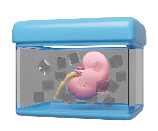 Organ Transport  3D Icon