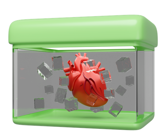 Organ Transport  3D Icon