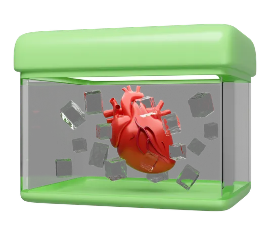 Organ Transport  3D Icon