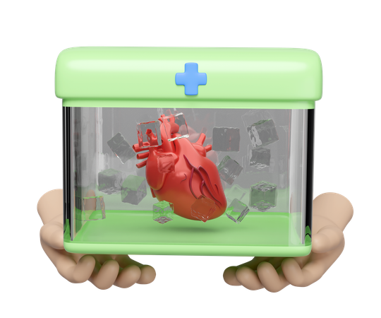 Organ Transport  3D Icon