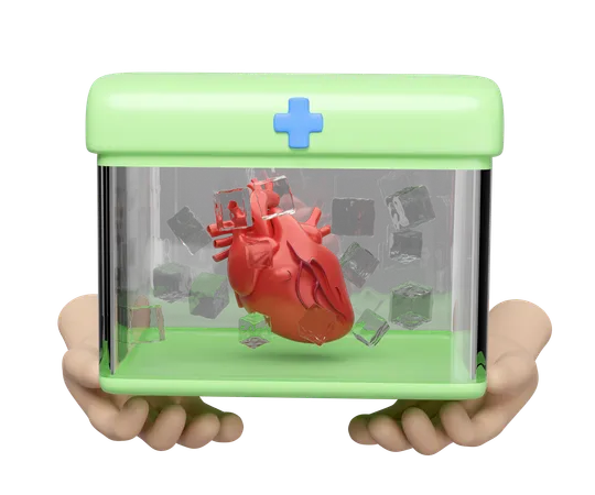 Organ Transport  3D Icon