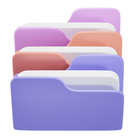 Organized Folder  3D Icon