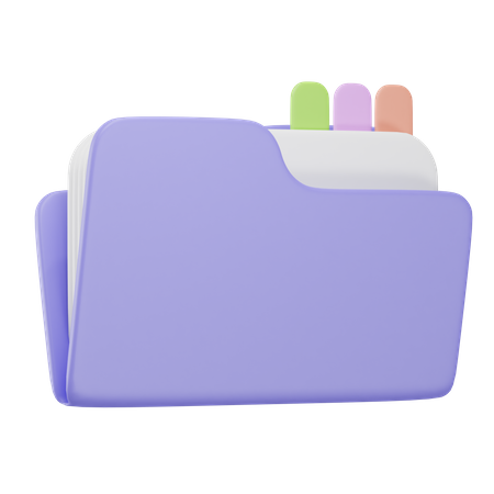 Organized Folder  3D Icon