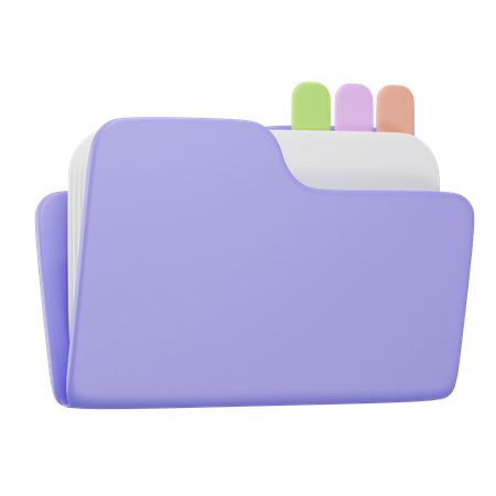 Organized Folder  3D Icon