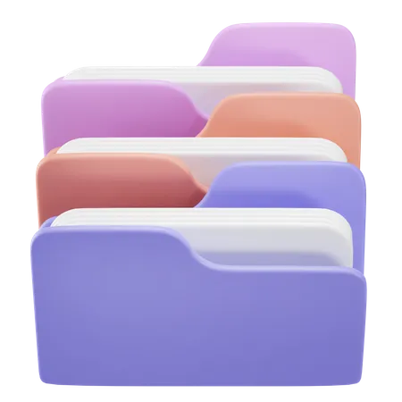 Organized Folder  3D Icon