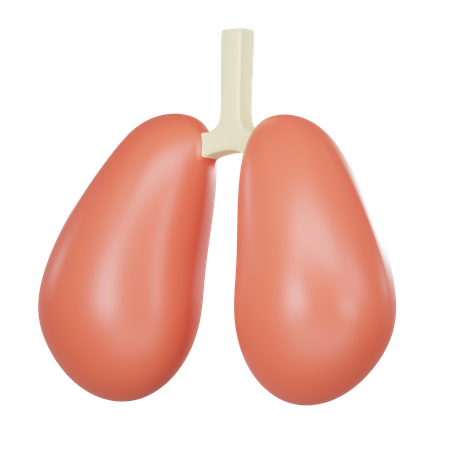 Órgano pulmonar  3D Icon