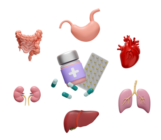 Órganos con medicina  3D Icon