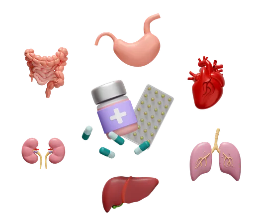 Órganos con medicina  3D Icon