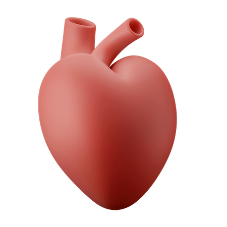 Órgão do coração  3D Illustration