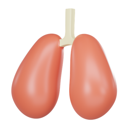 Órgão pulmonar  3D Icon