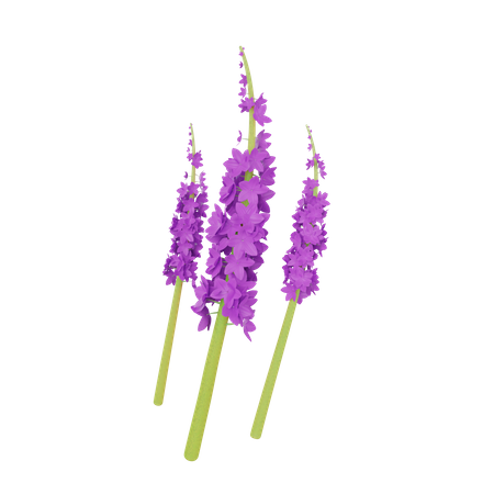 Orquídea  3D Illustration