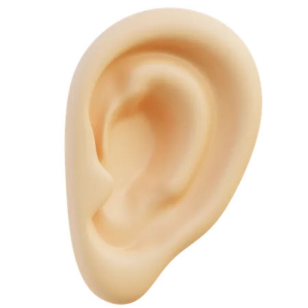 Ouvido humano  3D Icon