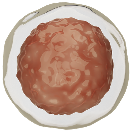 Ovule  3D Icon