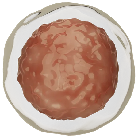 Ovule  3D Icon