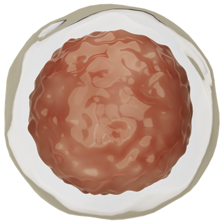 Ovum  3D Icon